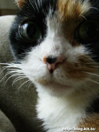 d060519c.jpg
