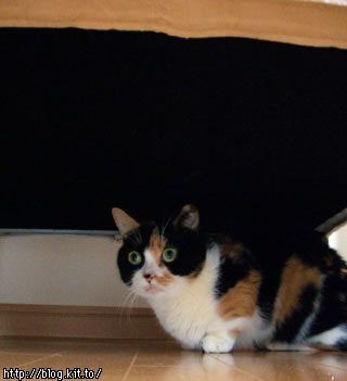 d051117i.jpg