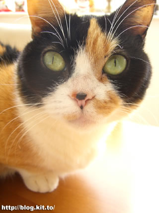 d060228b.jpg