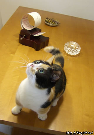 d060118l.jpg