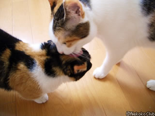 d050621e.jpg