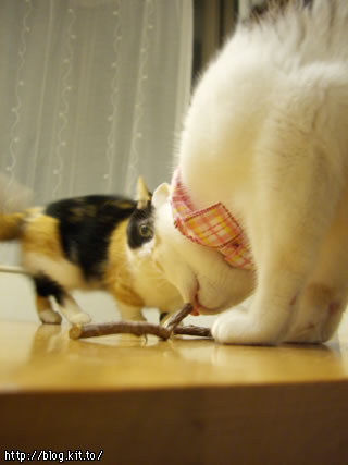 d051110h.jpg
