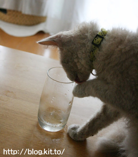 氷