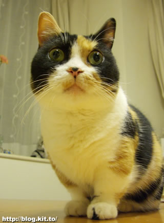 d060523h.jpg