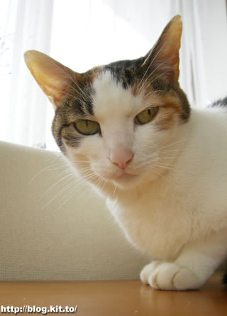 d060329e.jpg