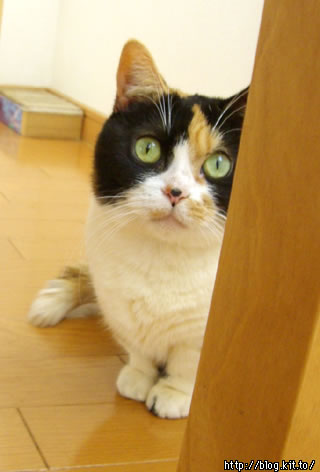 d060126h.jpg