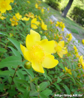d060610a.jpg