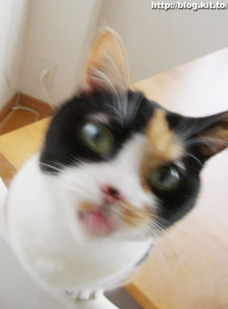 d060621c.jpg