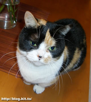 d060404j.jpg