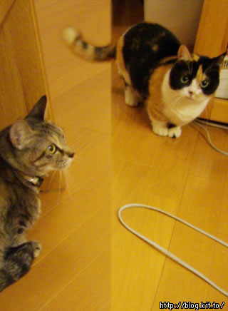 d060207g.jpg