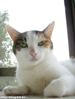 d060727c.jpg