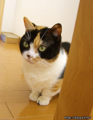 d060126g.jpg