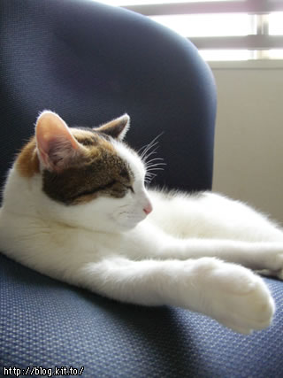 d051028f.jpg