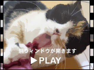 051119_b.jpg