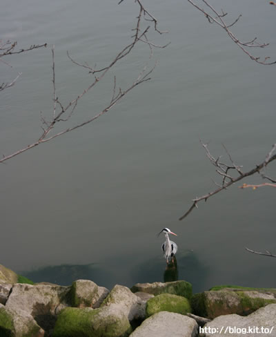 080323_12
