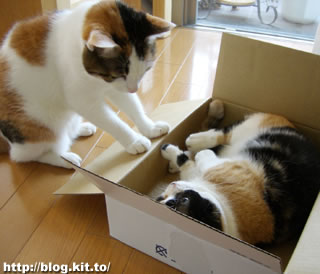 d060508d.jpg