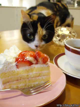 d060118j.jpg