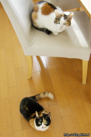 d051125i.jpg