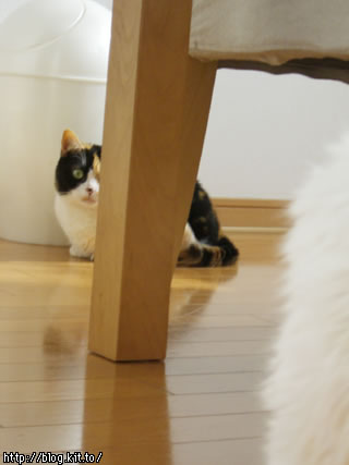 d060126k.jpg