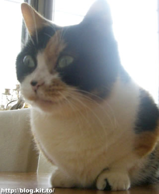 d060311e.jpg