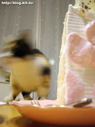 d060410i.jpg