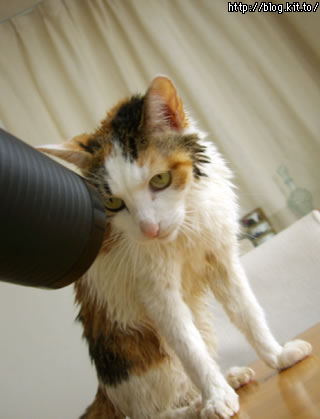 d060126e.jpg