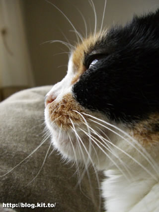 d060519e.jpg
