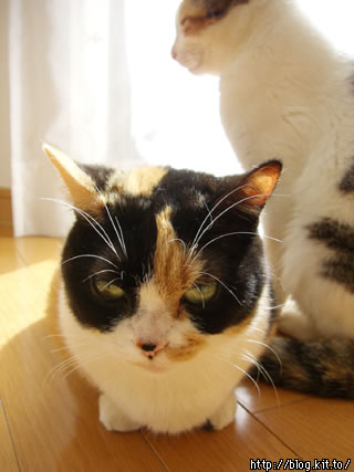 d060224j.jpg