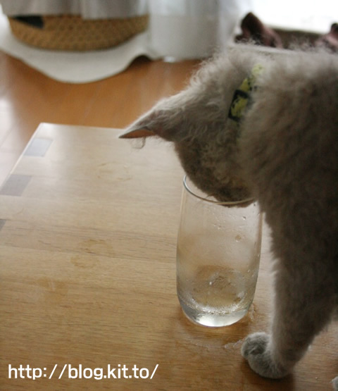 氷