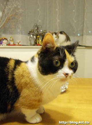 d060523k.jpg