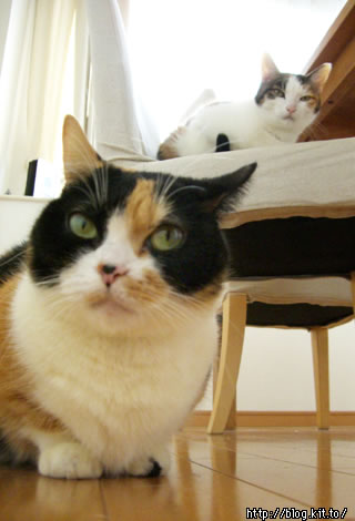 d051125g.jpg