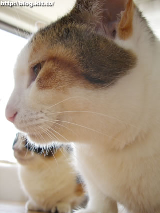 d060311b.jpg