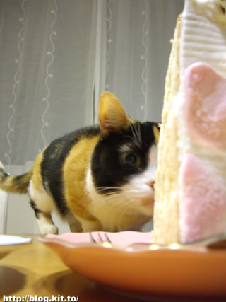 d060410h.jpg