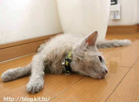 安眠