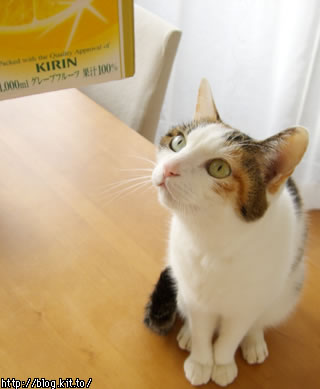d051222h.jpg