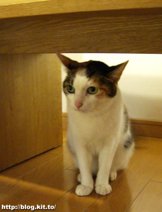 d060327i.jpg