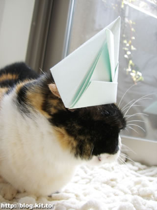 d060418g.jpg