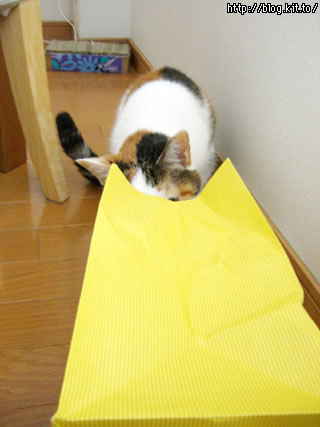 d060215a.jpg