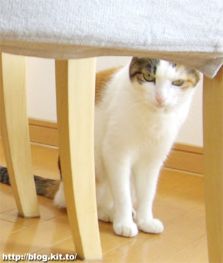 d060428e.jpg