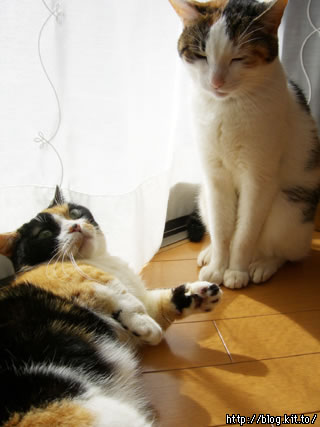 d060224o.jpg