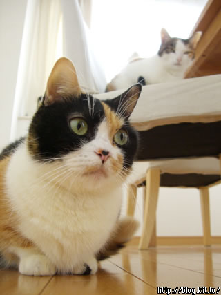 d051125f.jpg