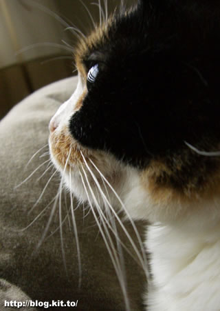d060519d.jpg