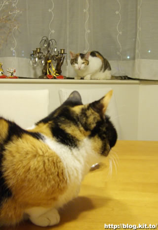 d060523i.jpg
