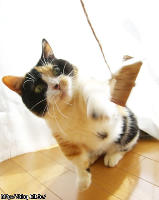 d060212k.jpg