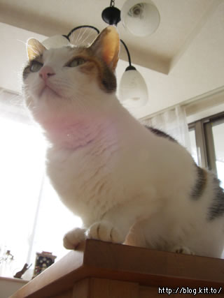 d051112a.jpg