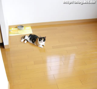 d060716d.jpg