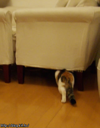 d060130k.jpg