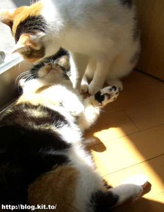 d060331l.jpg