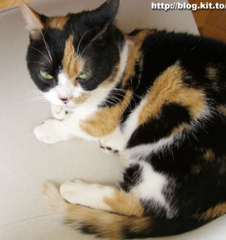 d060507a.jpg