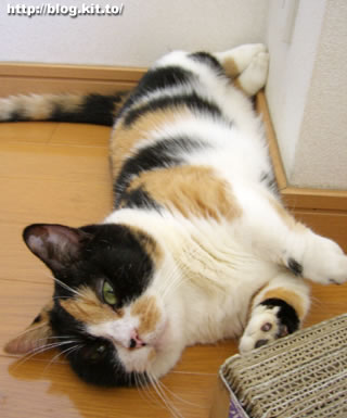 d060727d.jpg